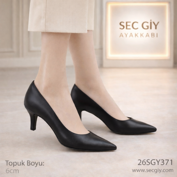 Siyah Klasik Sivri Burun Kadın Topuklu Ayakkabı