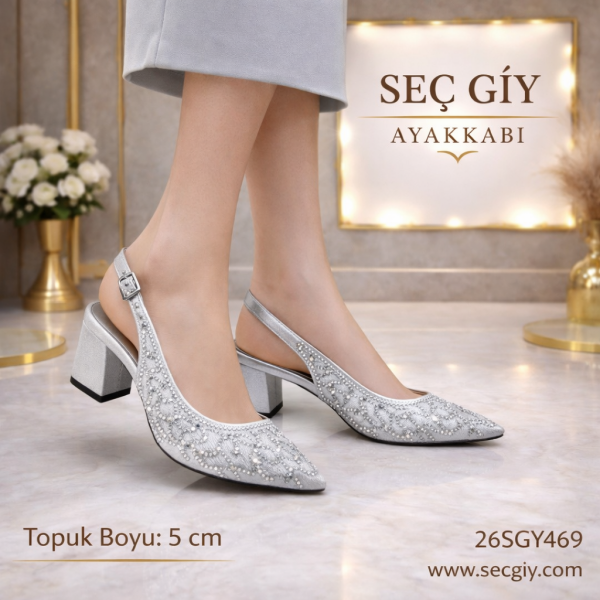 Gümüş Taş İşlemeli Sivri Burun Kadın Topuklu Ayakkabı – 5 cm