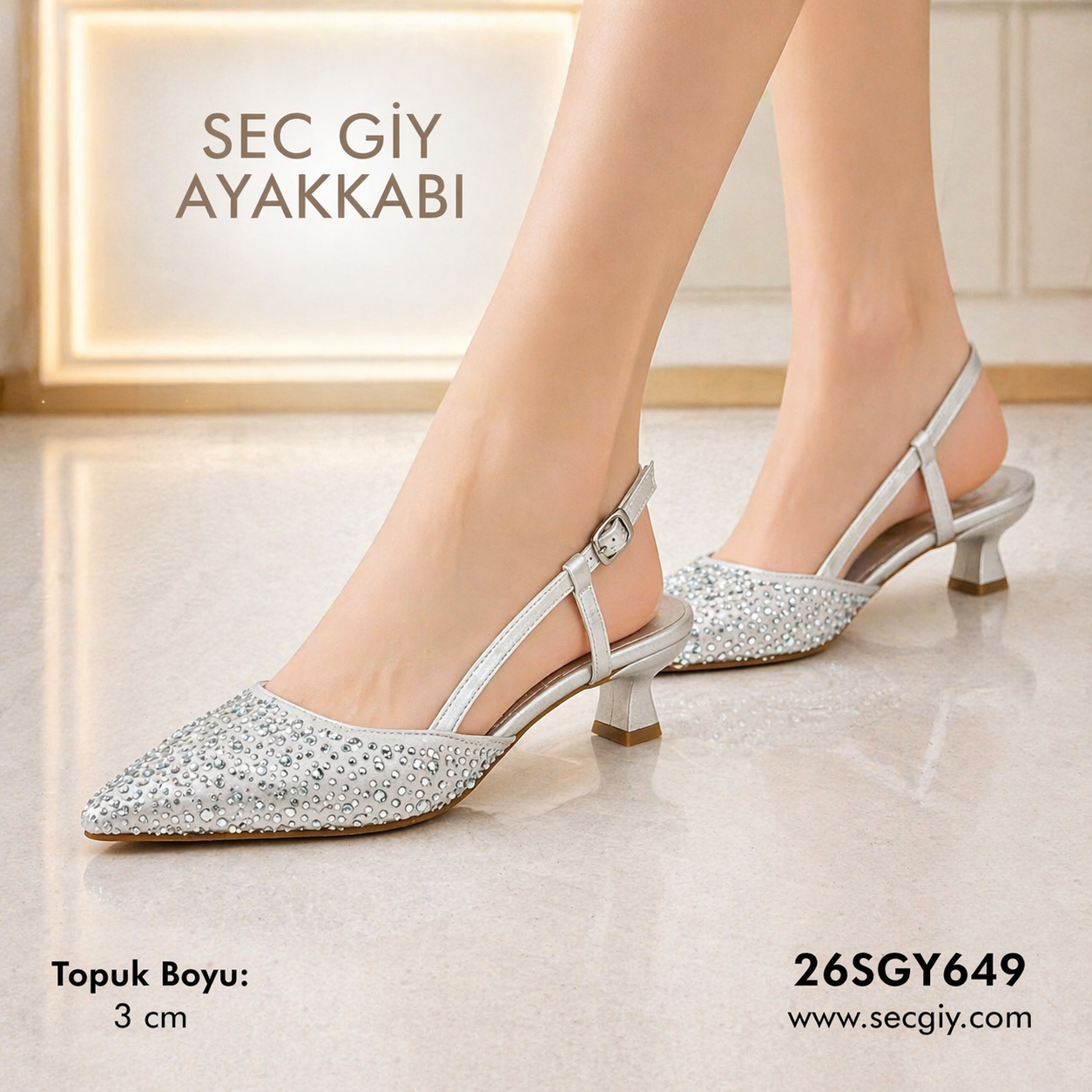 Taşlı Gümüş Sivri Burun 3 cm Kısa Topuklu Kadın Ayakkabı Şık Rahat Abiye