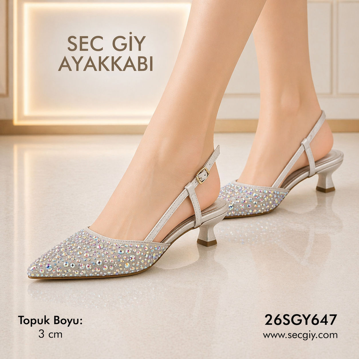 Krem Taşlı Gümüş Sivri Burun 3 cm Kısa Topuklu Kadın Ayakkabı Parlak Şık Abiye